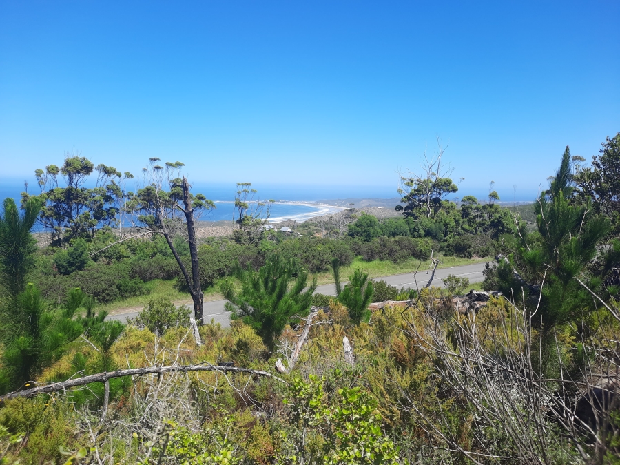 0 Bedroom Property for Sale in Brenton On Sea Western Cape